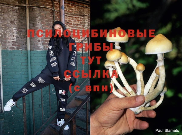 PSILOCYBIN Абдулино