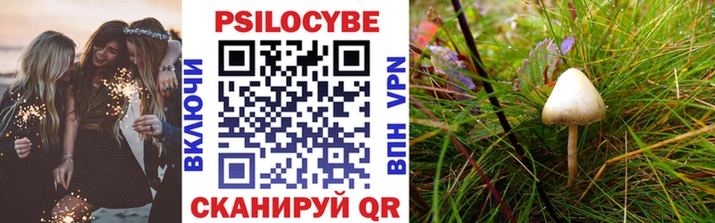 Псилоцибиновые грибы Psilocybe Данилов